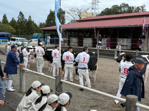 Image1