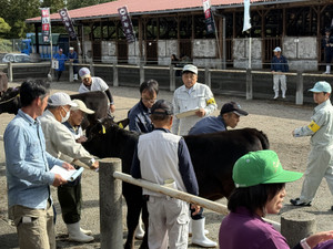 Image0_2